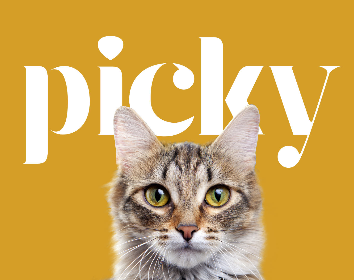 Picky portada