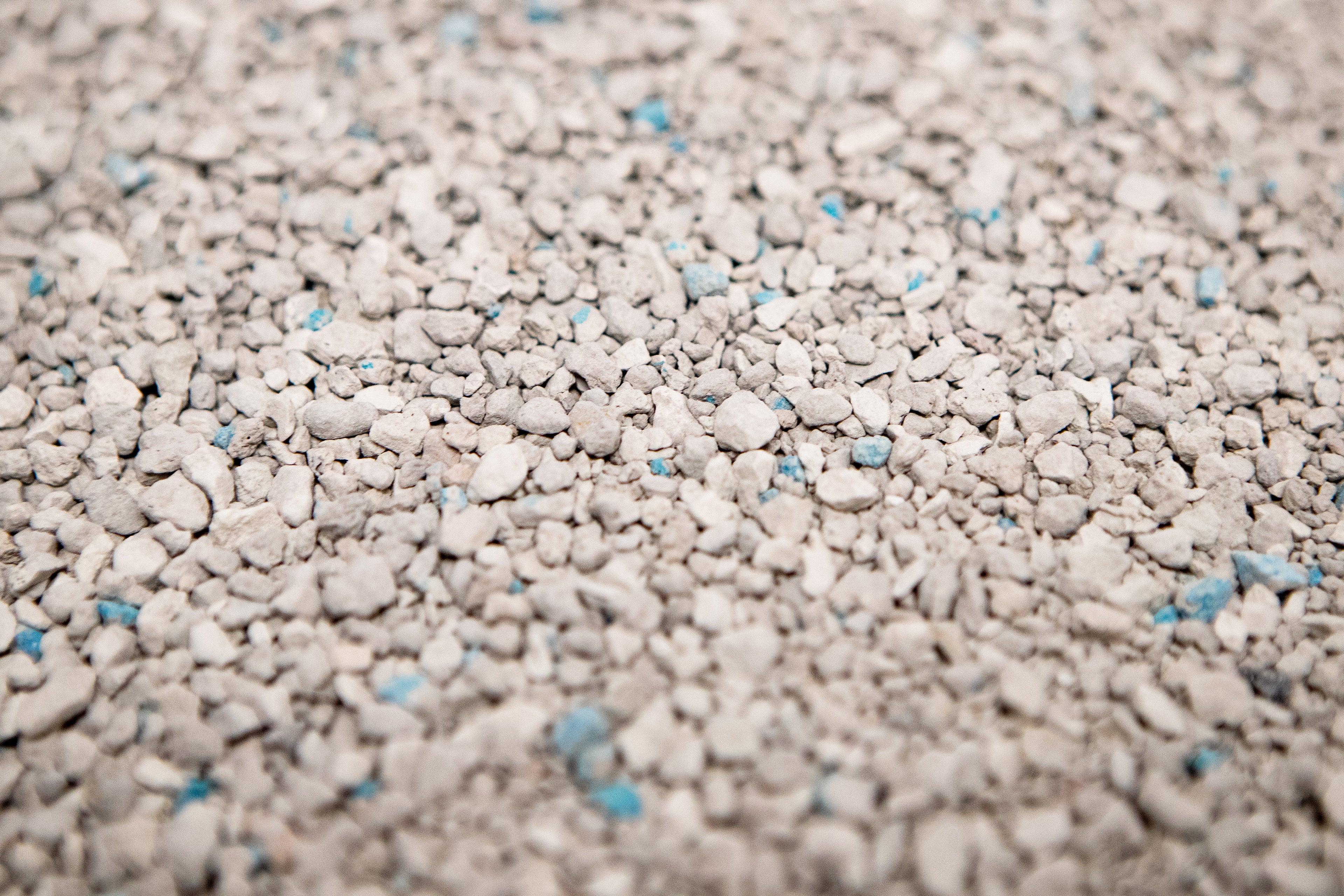 MyCAT Absorbente Perfumada (Pack de 4 bolsas - 20kg)